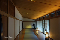 kyoto04.jpg