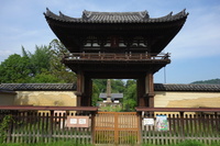 nara47.jpg