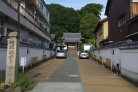 nara50.jpg