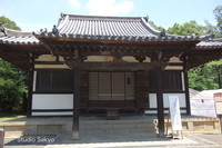 todaiji01.jpg