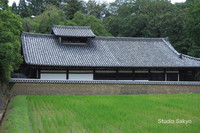 todaiji06.jpg